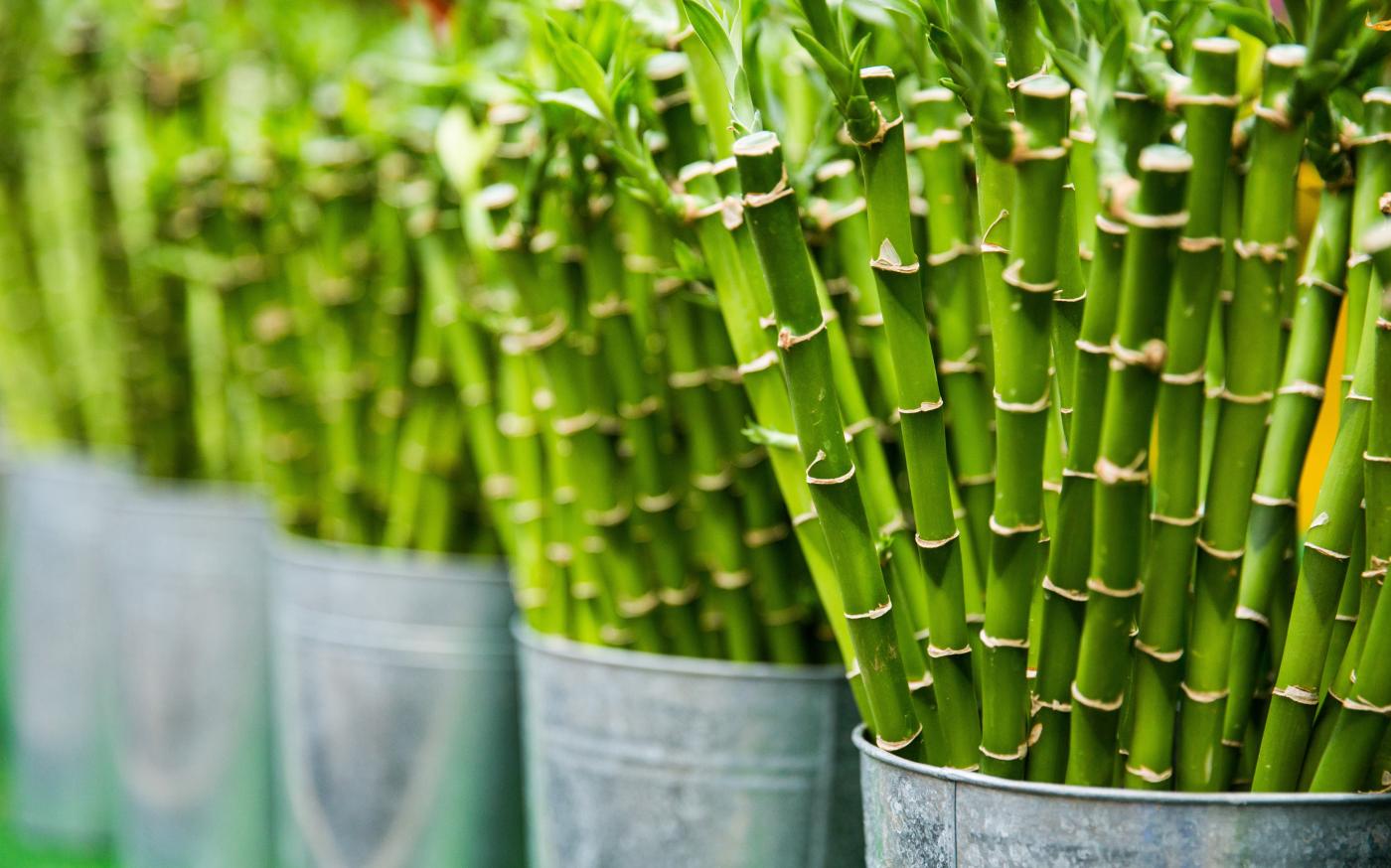 toni-cuenca-263538-unsplash toni-cuenca-263538-unsplash